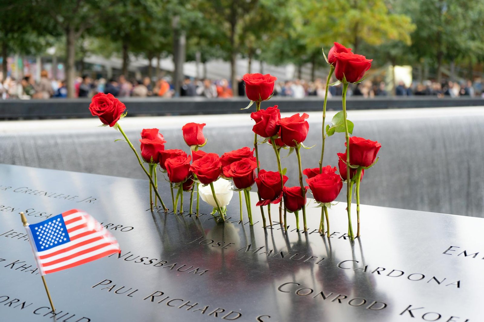 pexels photo 9522216 | The 9/11 Attack anniversary: A Deep Dive into History, Impact, and Healing | TamzidulHaque.com 9/11 Anniversary