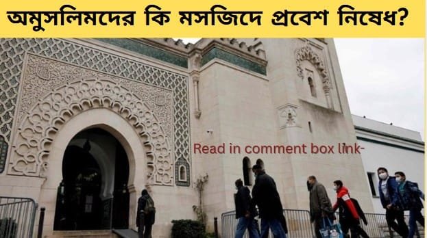 অমুসলিমদের মসজিদে প্রবেশ | অমুসলিমদের মসজিদে প্রবেশ: ইসলামি শরিয়তের আলোকে বিশ্লেষণ | TamzidulHaque.com অমুসলিমদের মসজিদে প্রবেশ